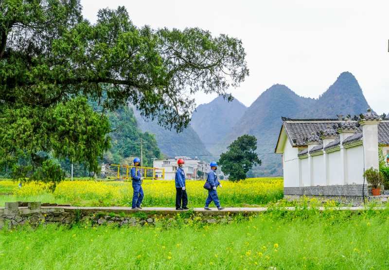 平塘供電局：“網(wǎng)格化”服務(wù)，護(hù)航“菜籃子”