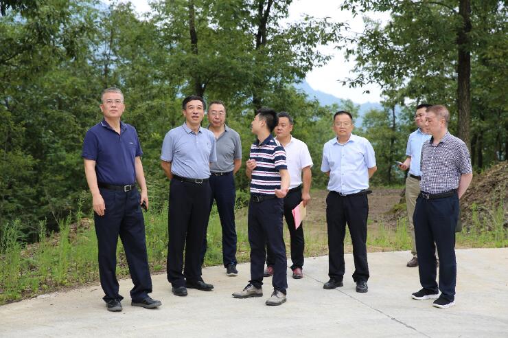 中國能建總經(jīng)理、黨委副書記孫洪水一行赴陜西鎮(zhèn)巴縣調(diào)研定點(diǎn)扶貧工作