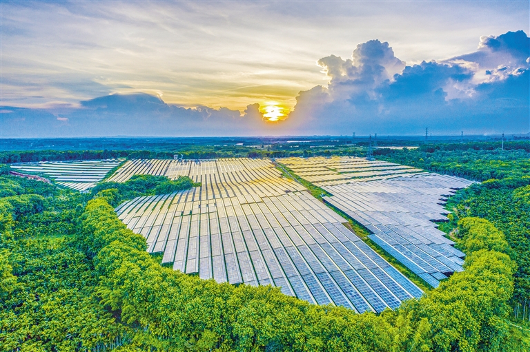 海南電網(wǎng)公司加快構(gòu)建現(xiàn)代供電服務(wù)體系，驅(qū)動(dòng)鄉(xiāng)村振興電力引擎