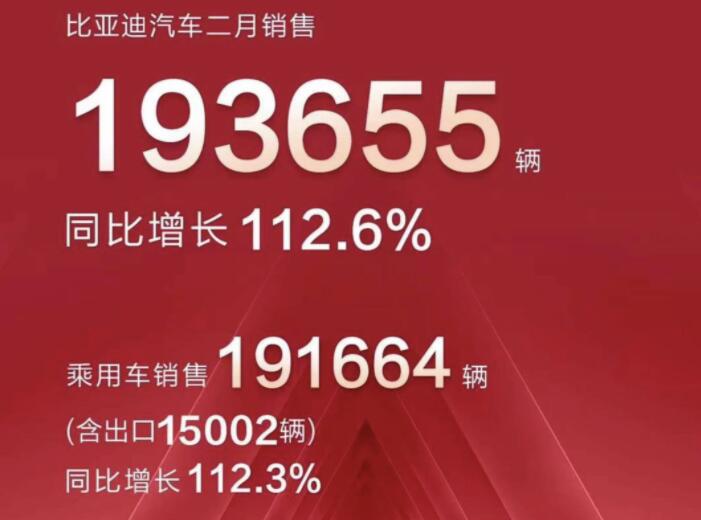 2月新能源車企成績單出爐，比亞迪一騎絕塵