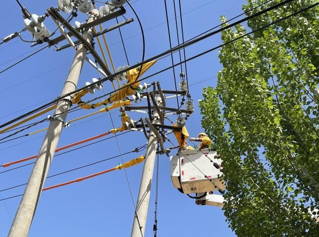 帶電作業(yè)除隱患，安全供電有保障