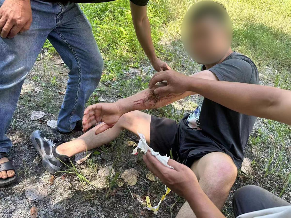 男子私設電網(wǎng)30余米，沒捕獲獵物卻電傷路人被刑拘